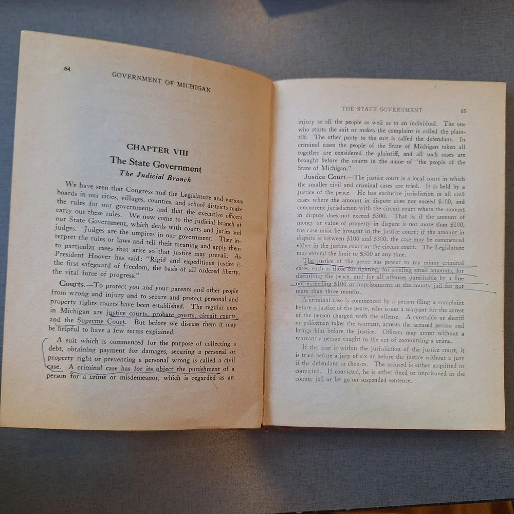 Government of Michigan Book 1932 Claude S.‎ Larzelere History Textbook